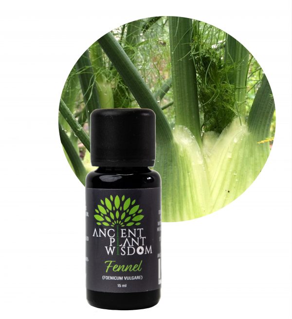 Fennel 15 ml Essential Oil Organic Nature Provides
