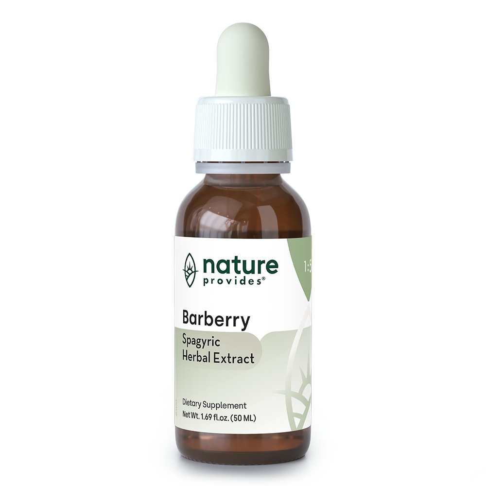 NP_Barberry_Herbal_1000px